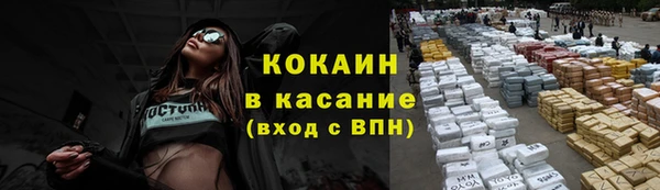 стаф Волосово