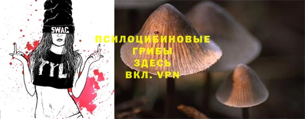ECSTASY Богородицк