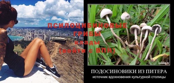прущие крисы Богданович