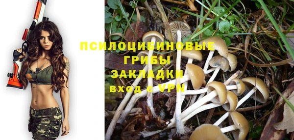 мяу мяу мука Верея