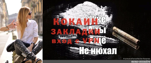 ECSTASY Богородицк