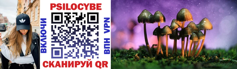 Псилоцибиновые грибы Cubensis  магазин  наркотиков  Вичуга 