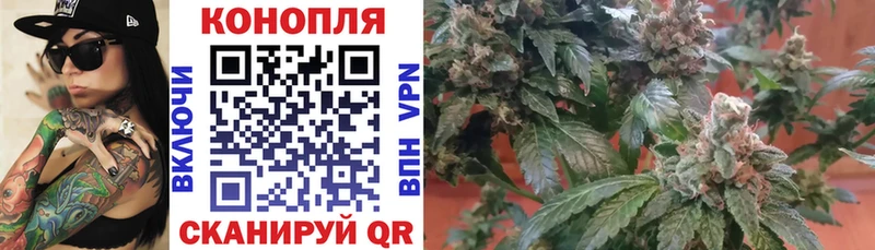 Марихуана семена Вичуга